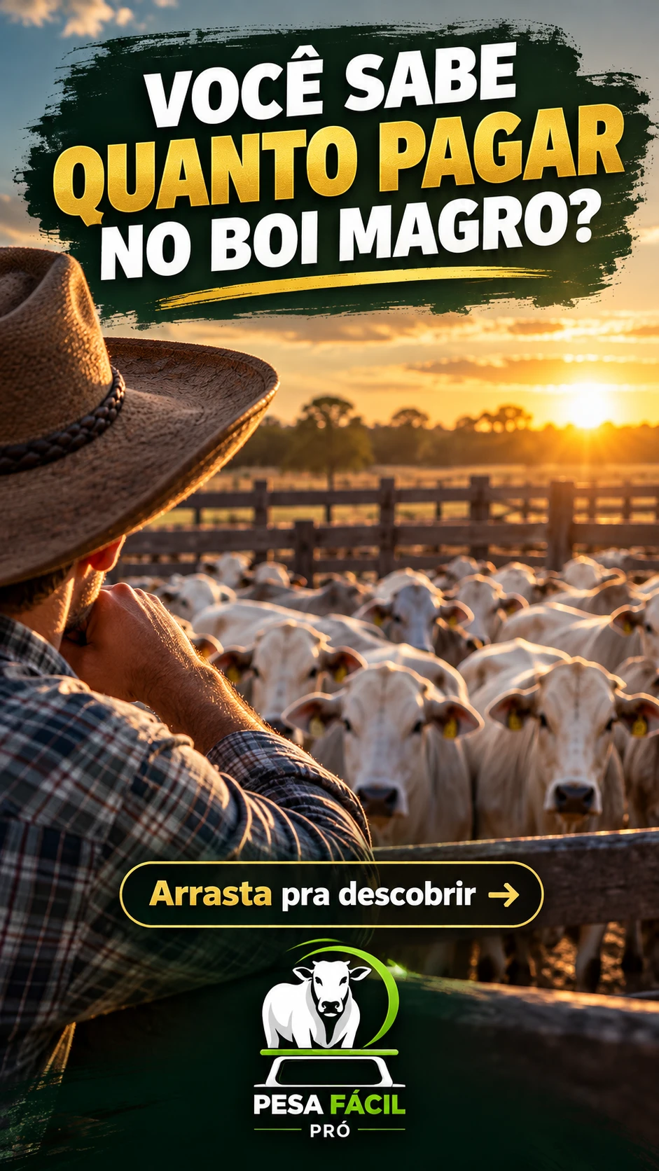 Você sabe quanto pagar no boi magro?